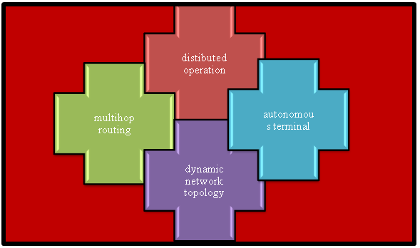 Features of MANET Simulation Projects